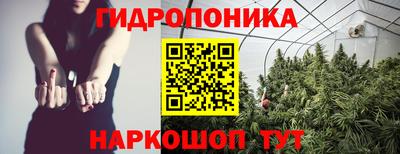 молекула духа Камышлов