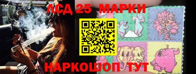 молекула духа Камышлов