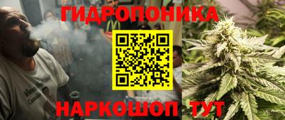 молекула духа Камышлов
