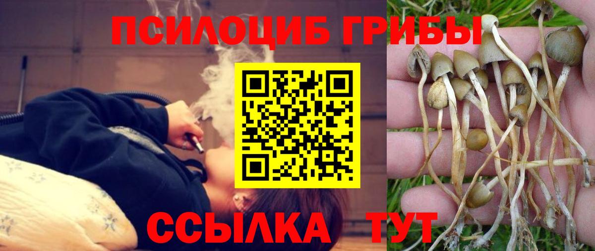 Красноярск  Галлюциногенные грибы GOLDEN TEACHER  Галлюциногенные грибы мухоморы  Вход с VPN 